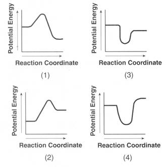 Potential Energy Diagrams