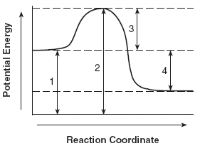 potential energy diagram labeled