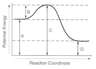 potential energy diagram labeled