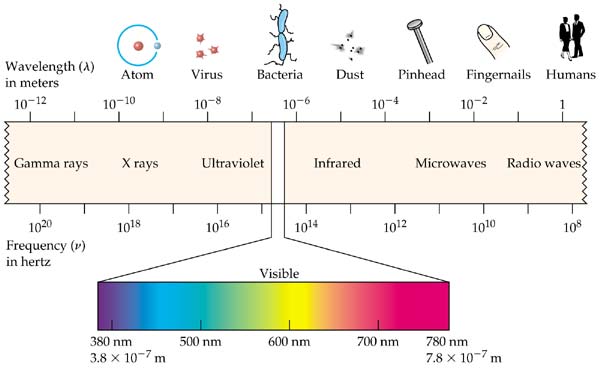 em-spectrum%5B1%5D%5B1%5D.jpg