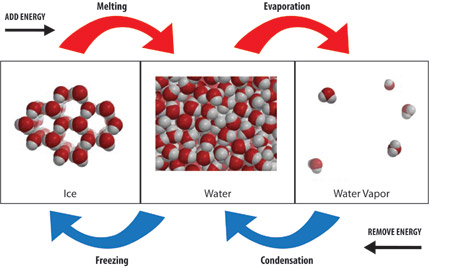 Is the process of melting exothermic or endothermic?